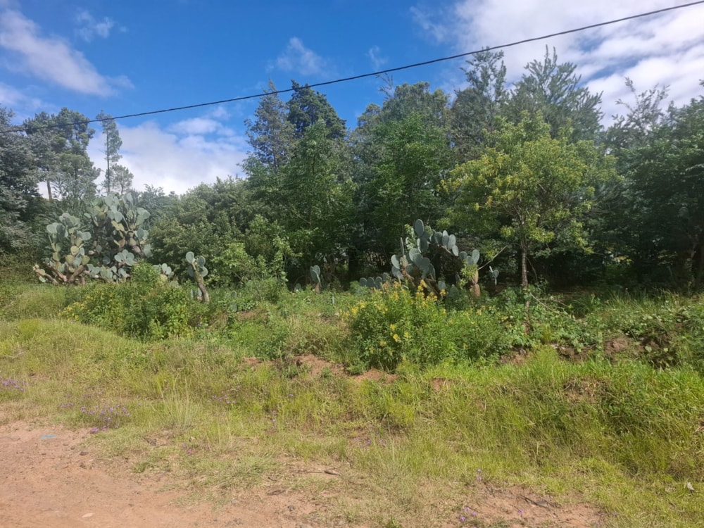 Residential vacant land for sale in Paul Roux - 1BTH1692641 Residential vacant land for sale in Paul Roux - 1BTH1692641