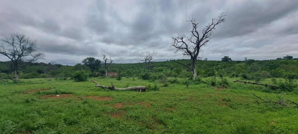 House sold in Phalaborwa - 1PW1692166 House sold in Phalaborwa - 1PW1692166