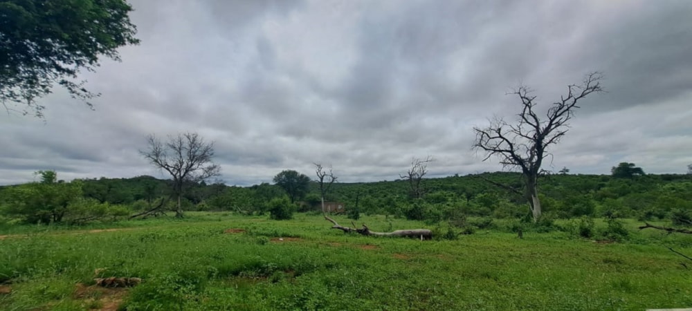 House sold in Phalaborwa - 1PW1692166 House sold in Phalaborwa - 1PW1692166