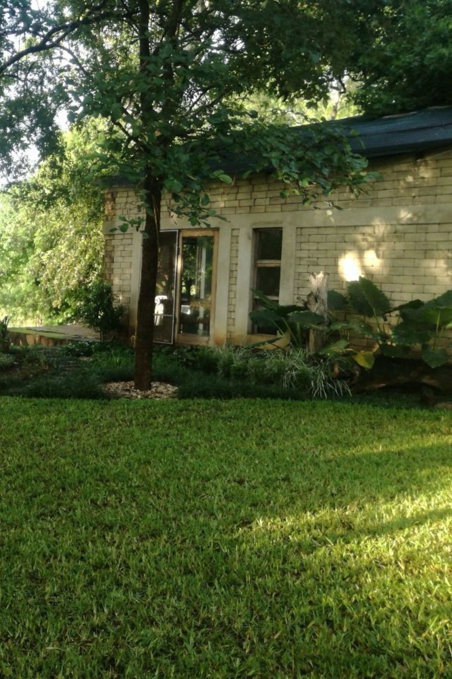 Dairy farm for sale in Tete, Tete, Mozambique - 3MQ1692253