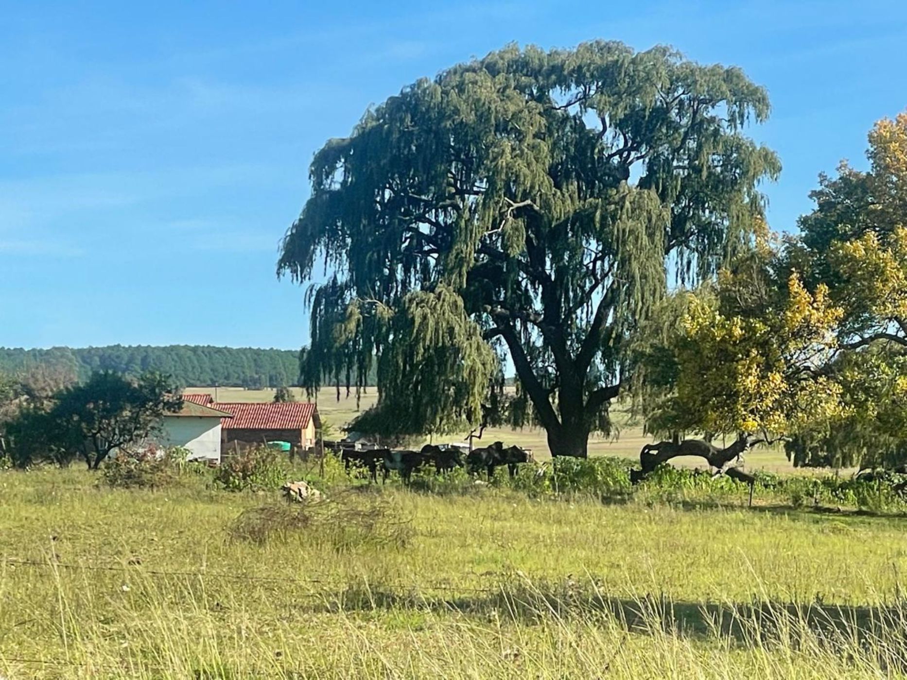 Vacant land for sale in Belfast - 1DS1692338