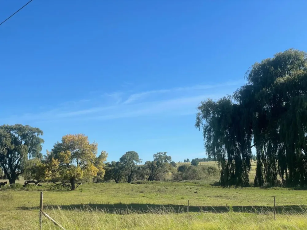 Vacant land for sale in Belfast - 1DS1692338 Vacant land for sale in Belfast - 1DS1692338
