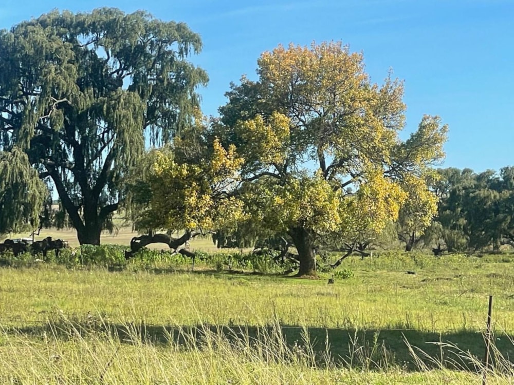 Vacant land for sale in Belfast - 1DS1692338 Vacant land for sale in Belfast - 1DS1692338