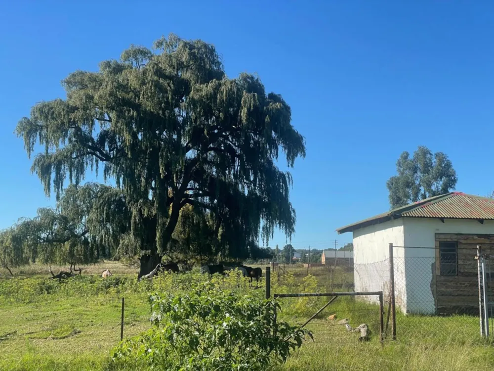 Vacant land for sale in Belfast - 1DS1692352 Vacant land for sale in Belfast - 1DS1692352