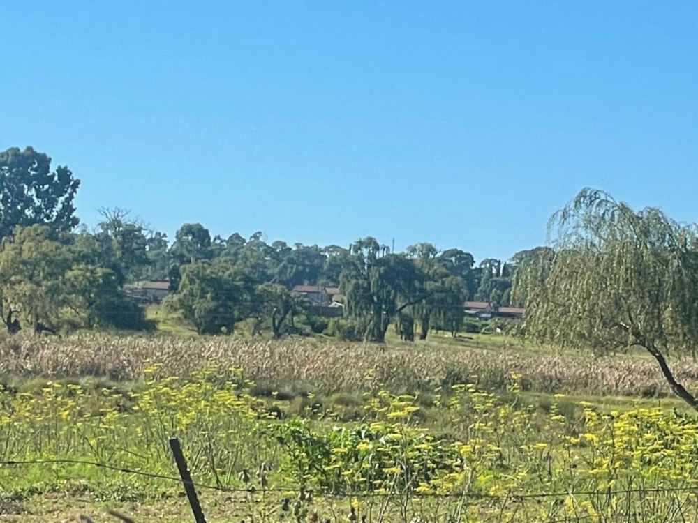 Vacant land for sale in Belfast - 1DS1692352 Vacant land for sale in Belfast - 1DS1692352