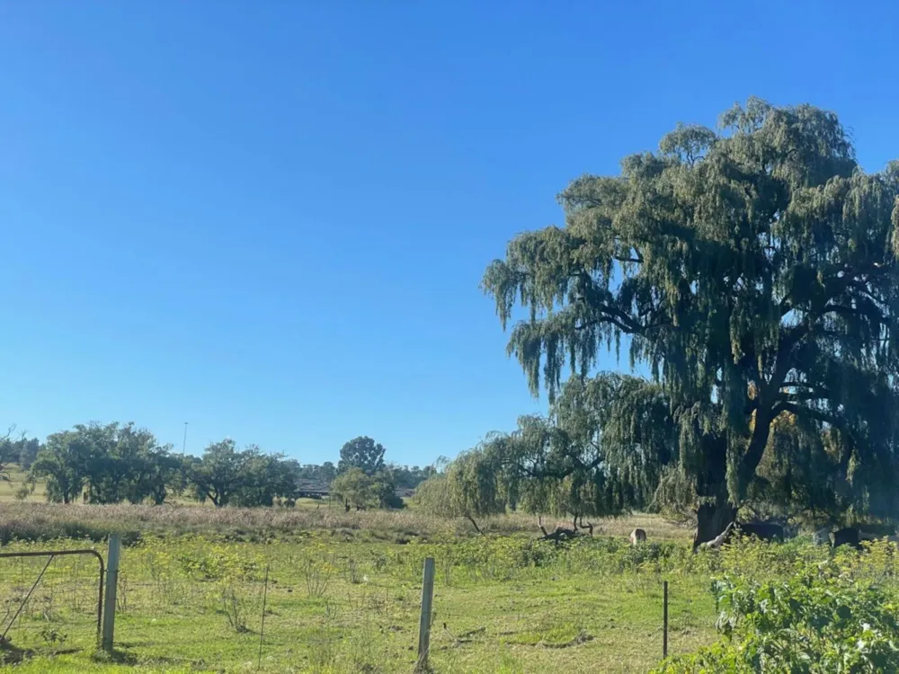 Vacant land for sale in Belfast - 1DS1692352 Vacant land for sale in Belfast - 1DS1692352