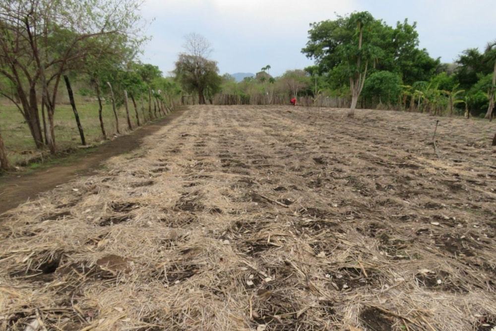 Aquaculture farm for sale in Tete, Tete, Mozambique - 3MQ1692483
