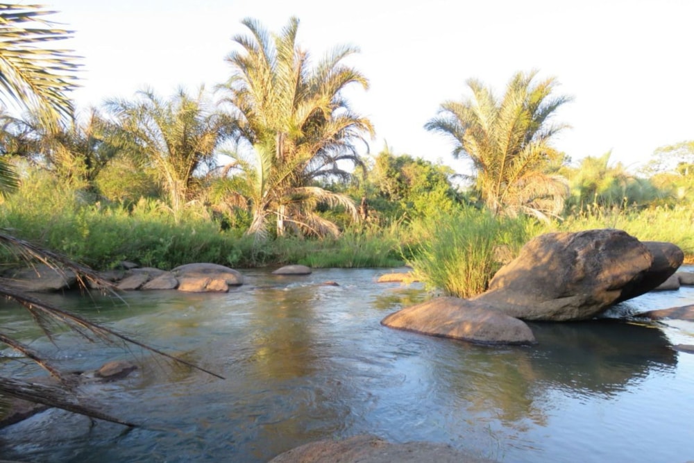 Aquaculture farm for sale in Tete, Tete, Mozambique - 3MQ1692483