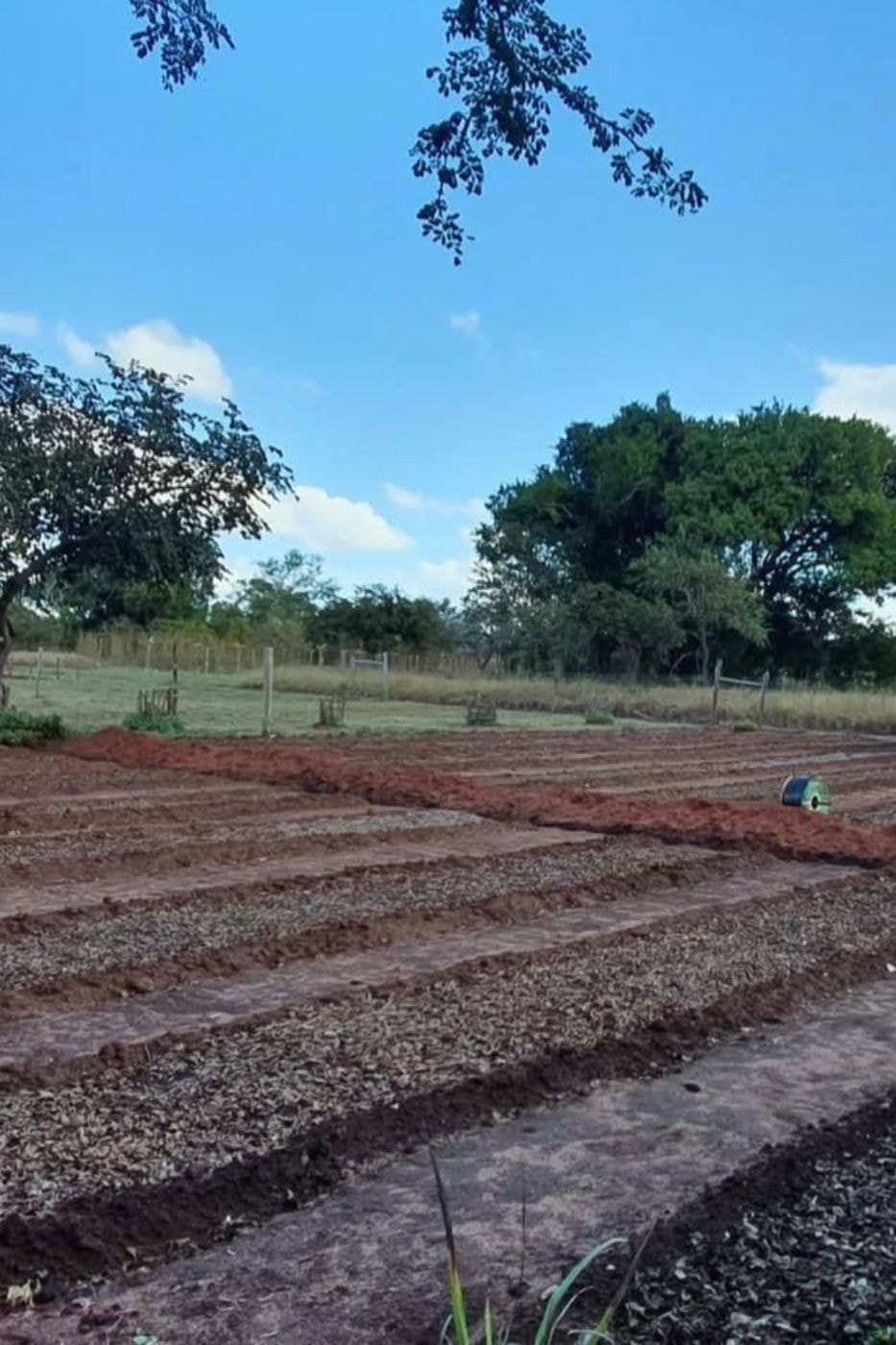 Lifestyle property for sale in Inhassoro, Mozambique - 3MQ1692560