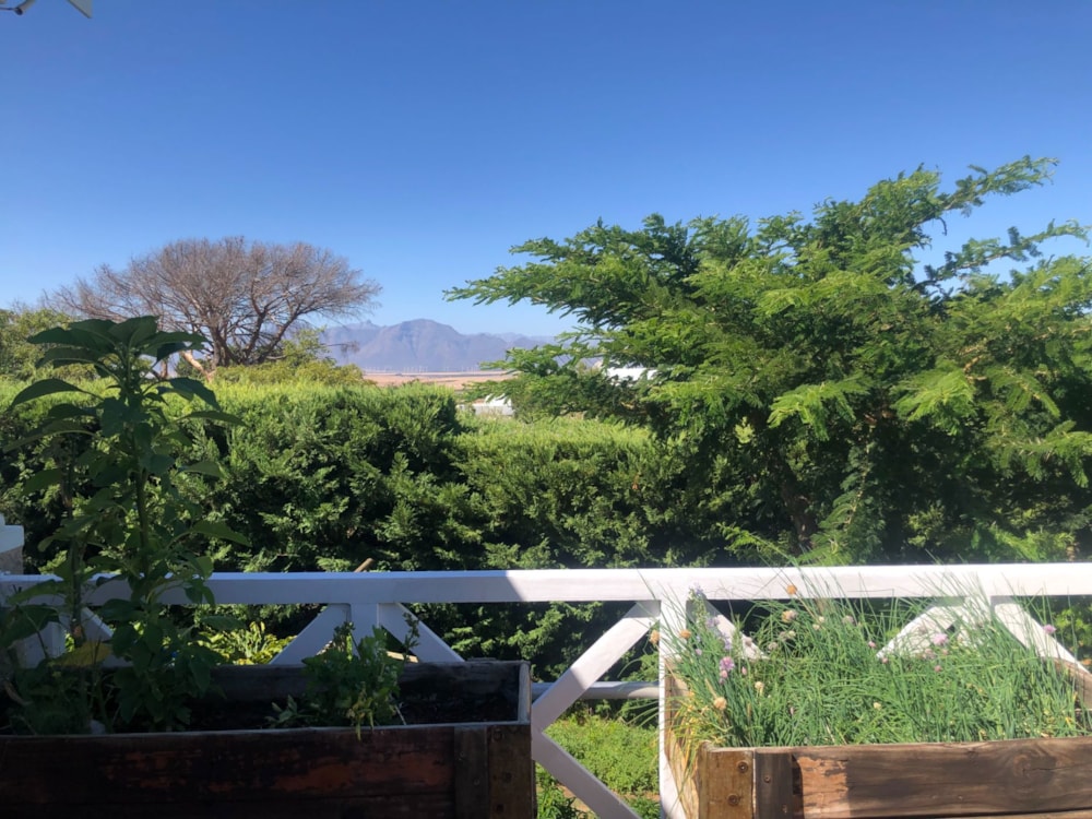 Single-storey house sold in Riebeek West - RV1690205 Single-storey house sold in Riebeek West - RV1690205