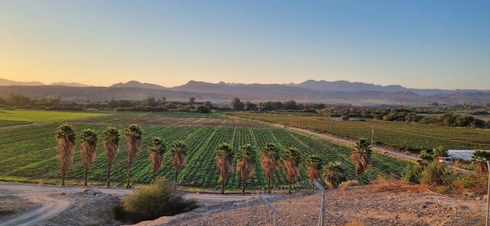 Smallholding for sale in Vioolsdrif Farms - 1NA1684380 Smallholding for sale in Vioolsdrif Farms - 1NA1684380