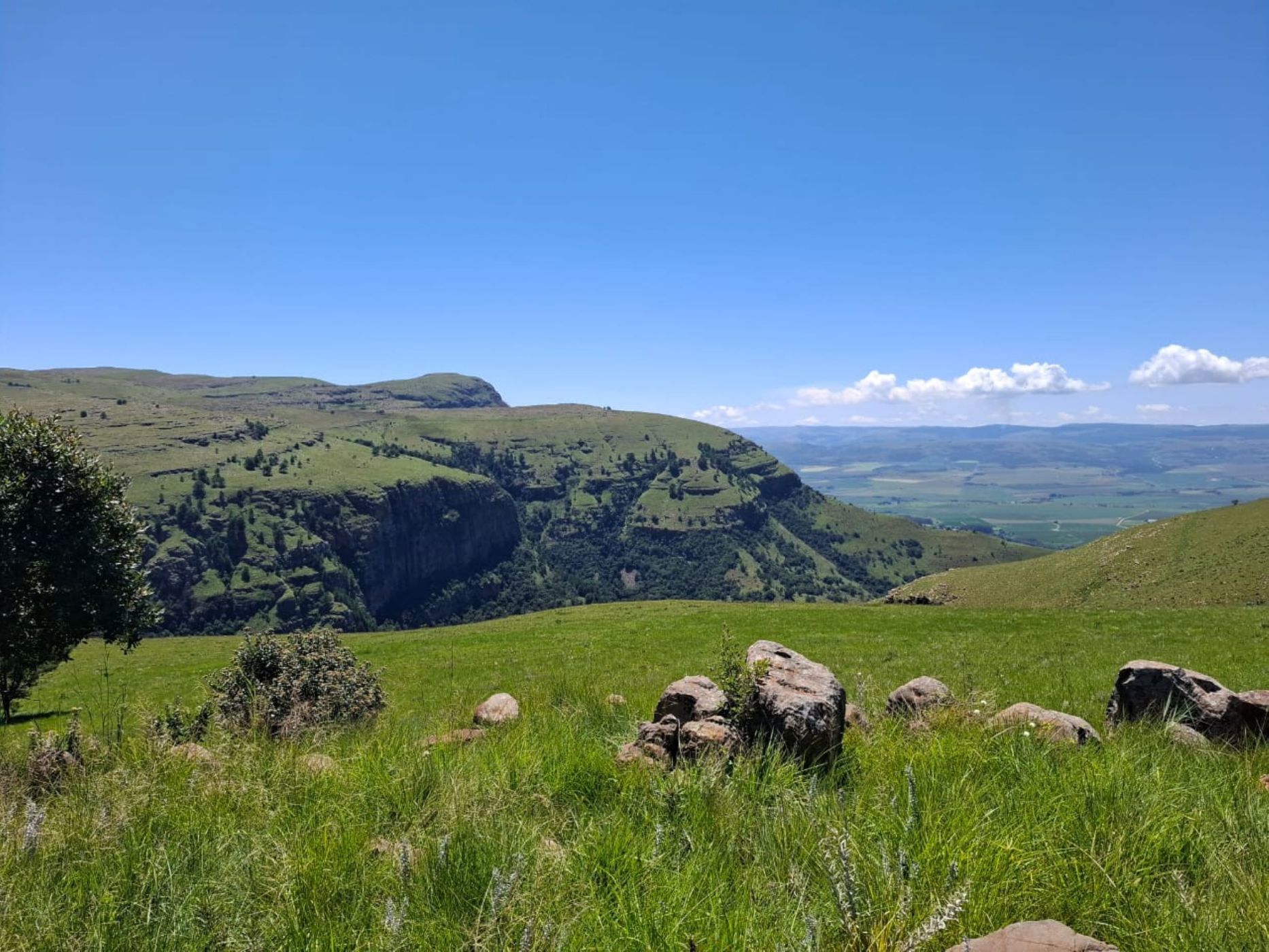 Mixed use farm for sale in Dullstroom - 1DS1690464