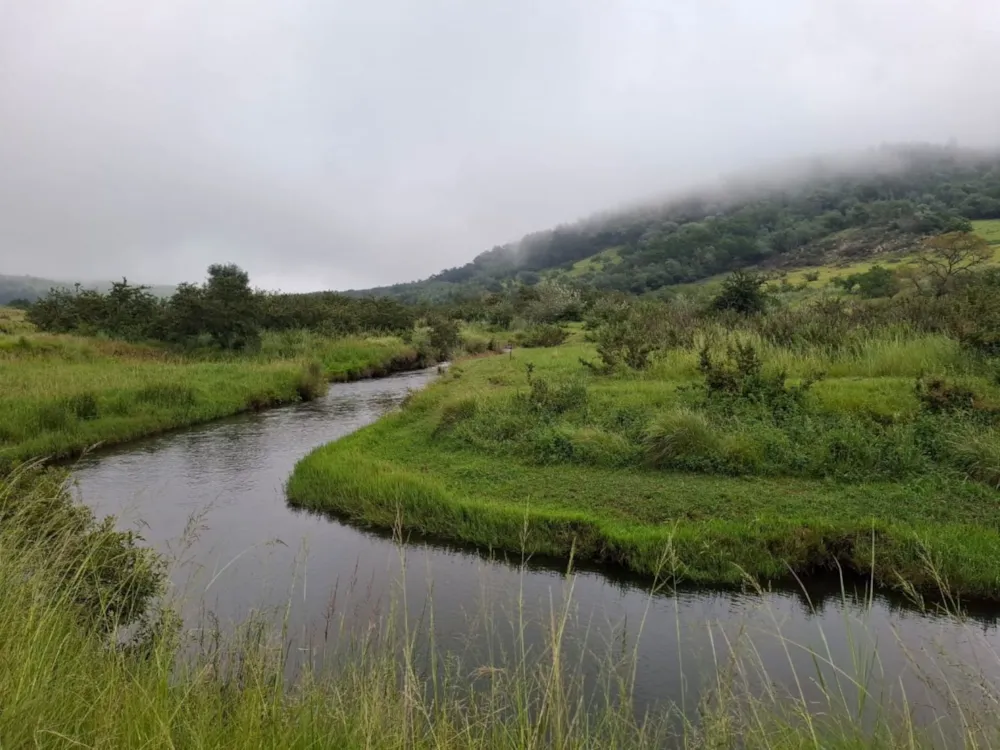 Mixed use farm for sale in Dullstroom - 1DS1690464 Mixed use farm for sale in Dullstroom - 1DS1690464