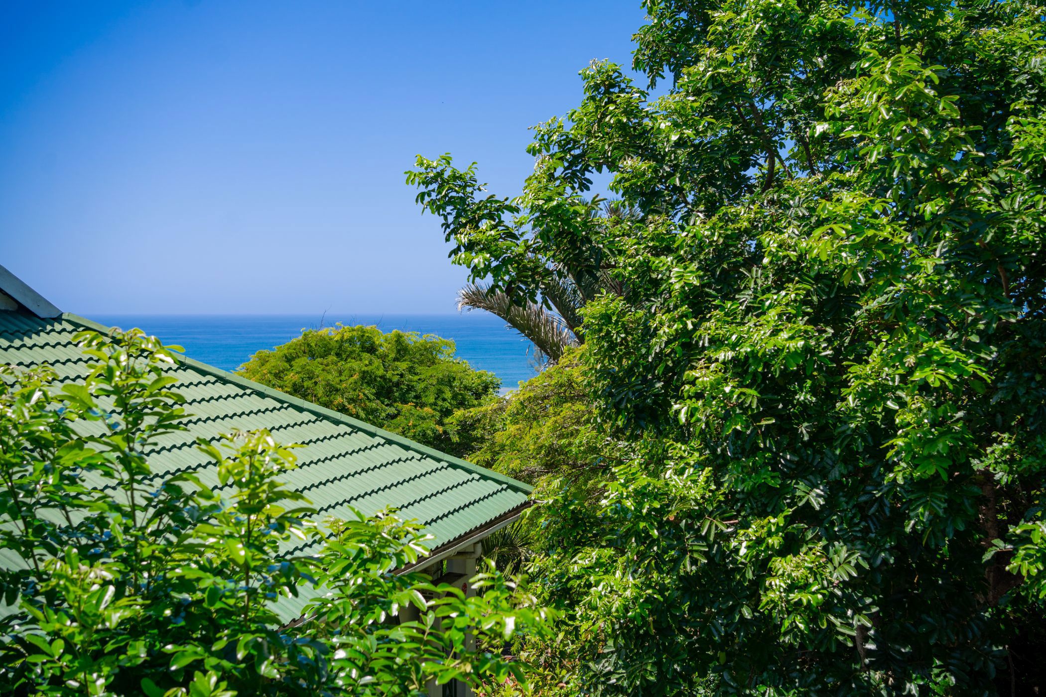 Apartment for sale in Westbrook, Ballito - 1BD1691202