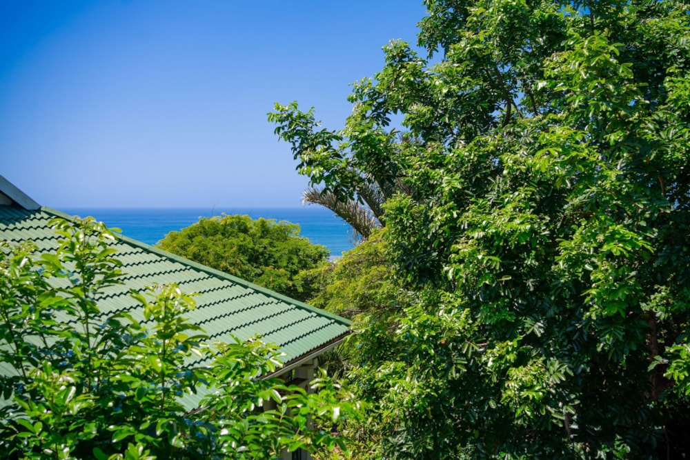 Apartment for sale in Westbrook, Ballito - 1BD1691202