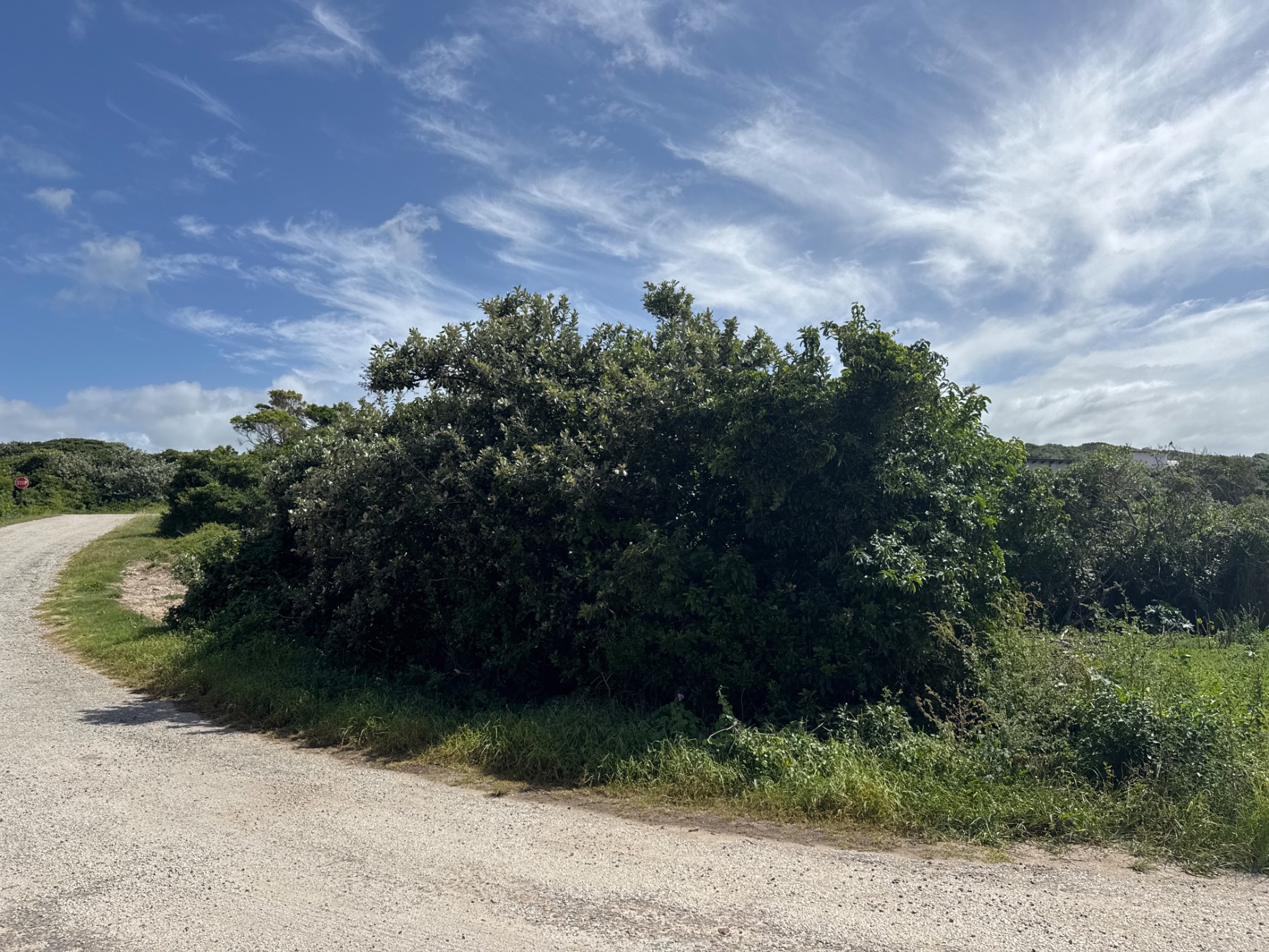 Vacant land for sale in Boknesstrand - 1KO1738007