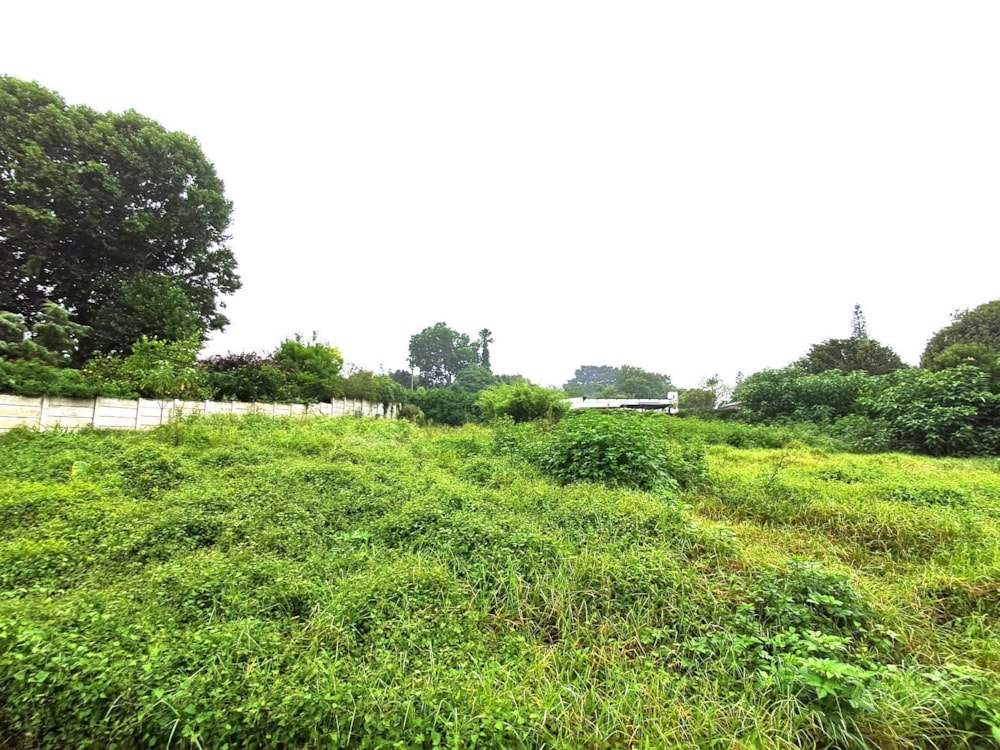 Vacant land for sale in Merrivale - 1PM1689990