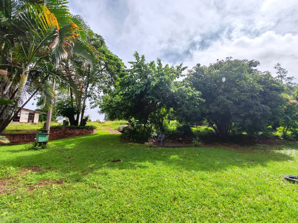 Smallholding for sale in Tzaneen, Limpopo Province - 1TA1691231