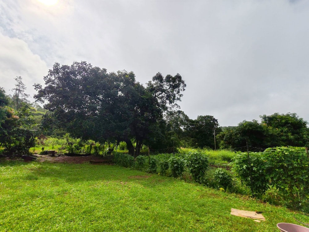 Smallholding for sale in Tzaneen, Limpopo Province - 1TA1691231