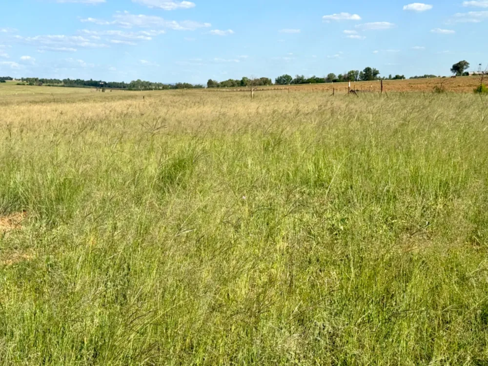 Vacant land for sale in Bronkhorstbaai - PRN1688769
