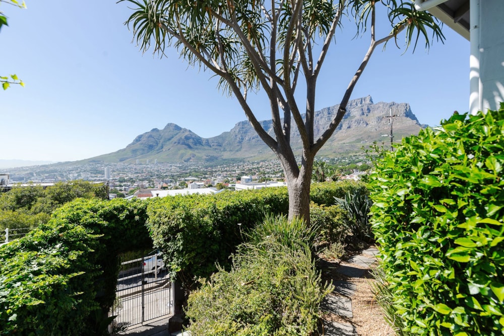House sold in Tamboerskloof - AS1689920 House sold in Tamboerskloof - AS1689920