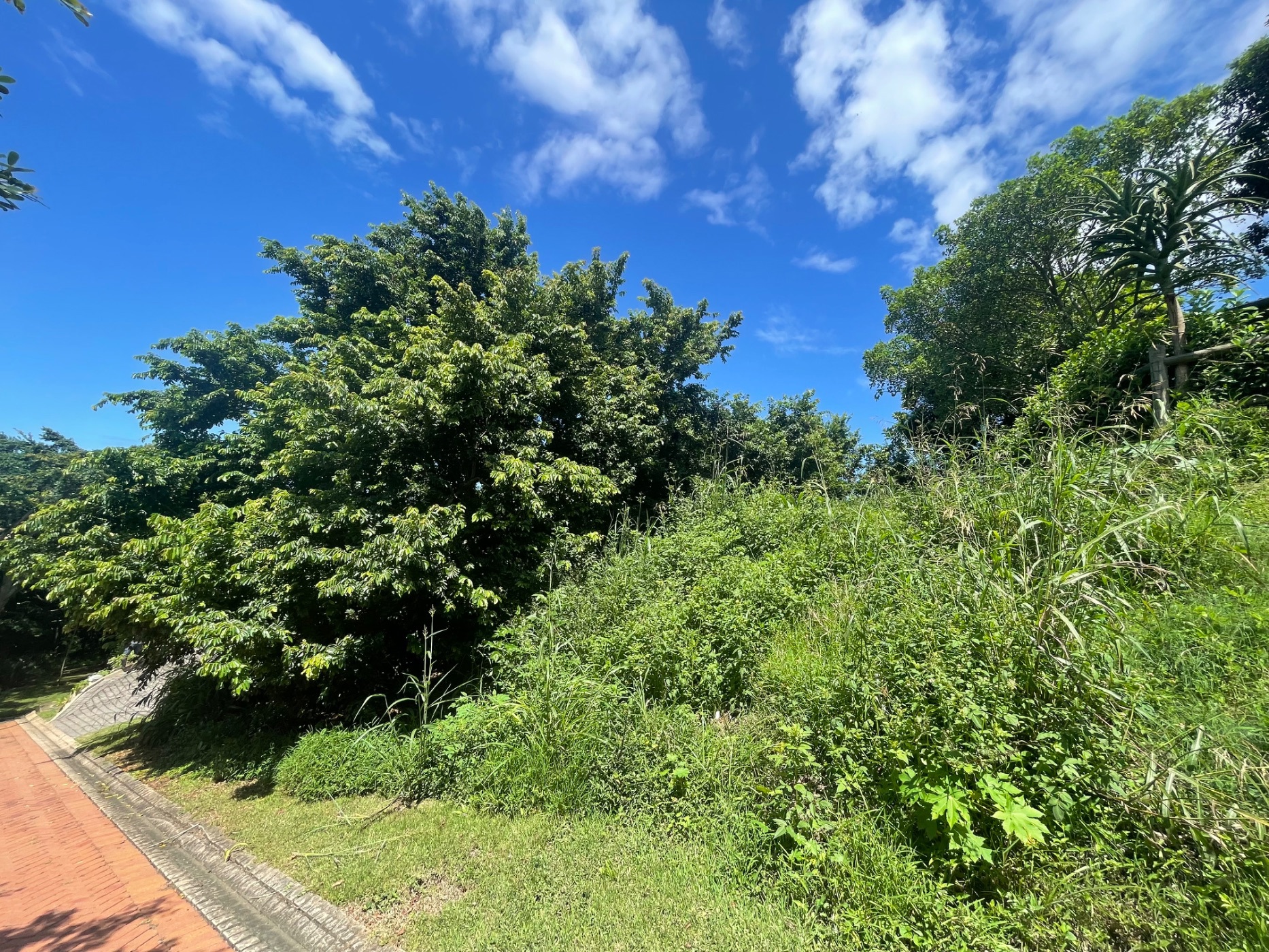 Residential vacant land for sale in Palm Lakes Estates - 1BD1691522