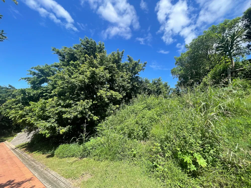 Residential vacant land for sale in Palm Lakes Estates - 1BD1691522 Residential vacant land for sale in Palm Lakes Estates - 1BD1691522