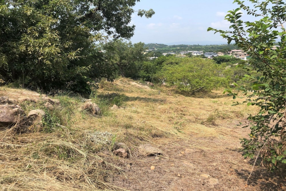 Residential vacant land for sale in Elawini Lifestyle Estate - 1NS1693089