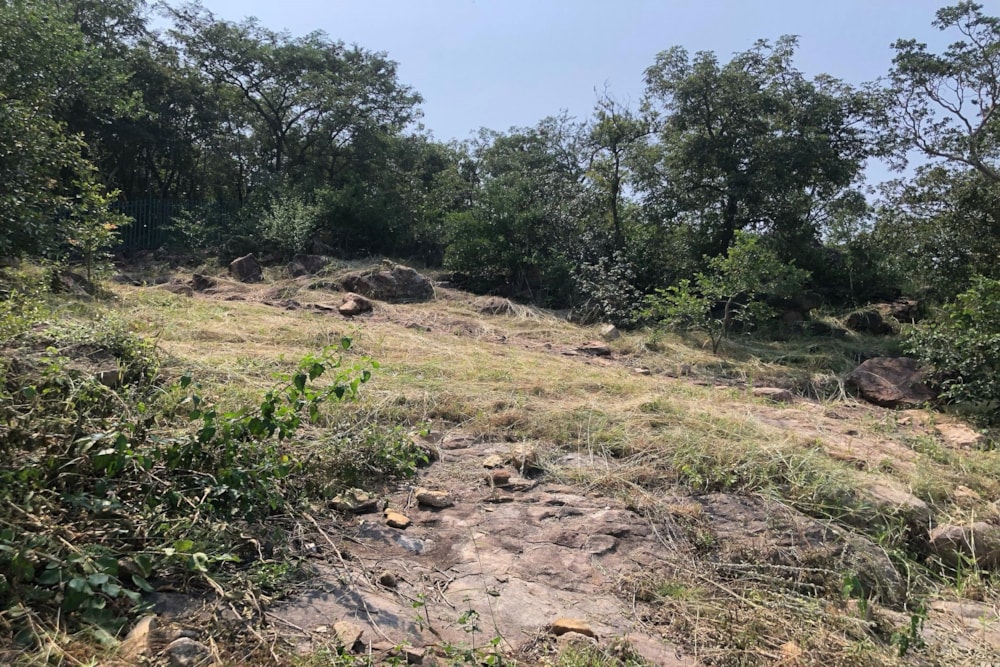 Residential vacant land for sale in Elawini Lifestyle Estate - 1NS1693089