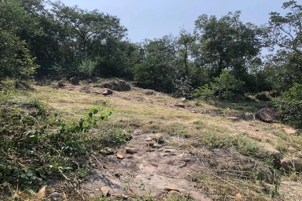 Residential vacant land for sale in Elawini Lifestyle Estate - 1NS1741562 Residential vacant land for sale in Elawini Lifestyle Estate - 1NS1741562