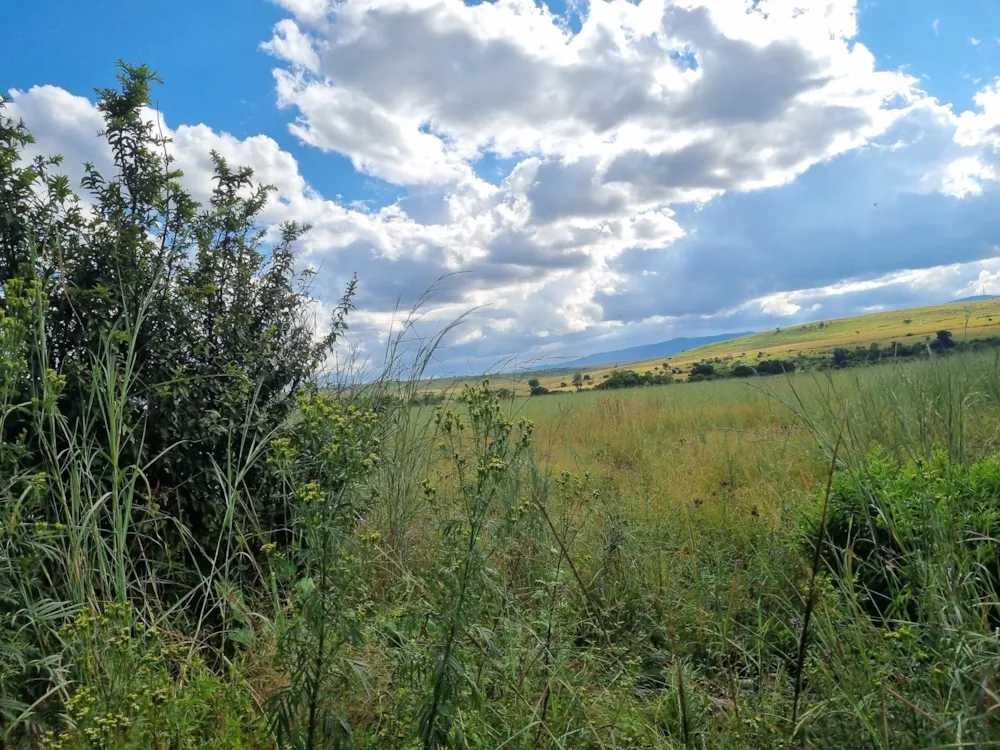 Vacant land for sale in Lydenburg (Mashishing) - 1LY1695146 Vacant land for sale in Lydenburg (Mashishing) - 1LY1695146