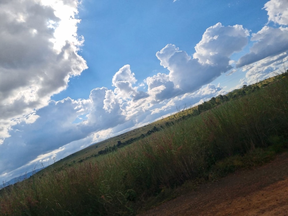 Vacant land for sale in Lydenburg (Mashishing) - 1LY1695146 Vacant land for sale in Lydenburg (Mashishing) - 1LY1695146