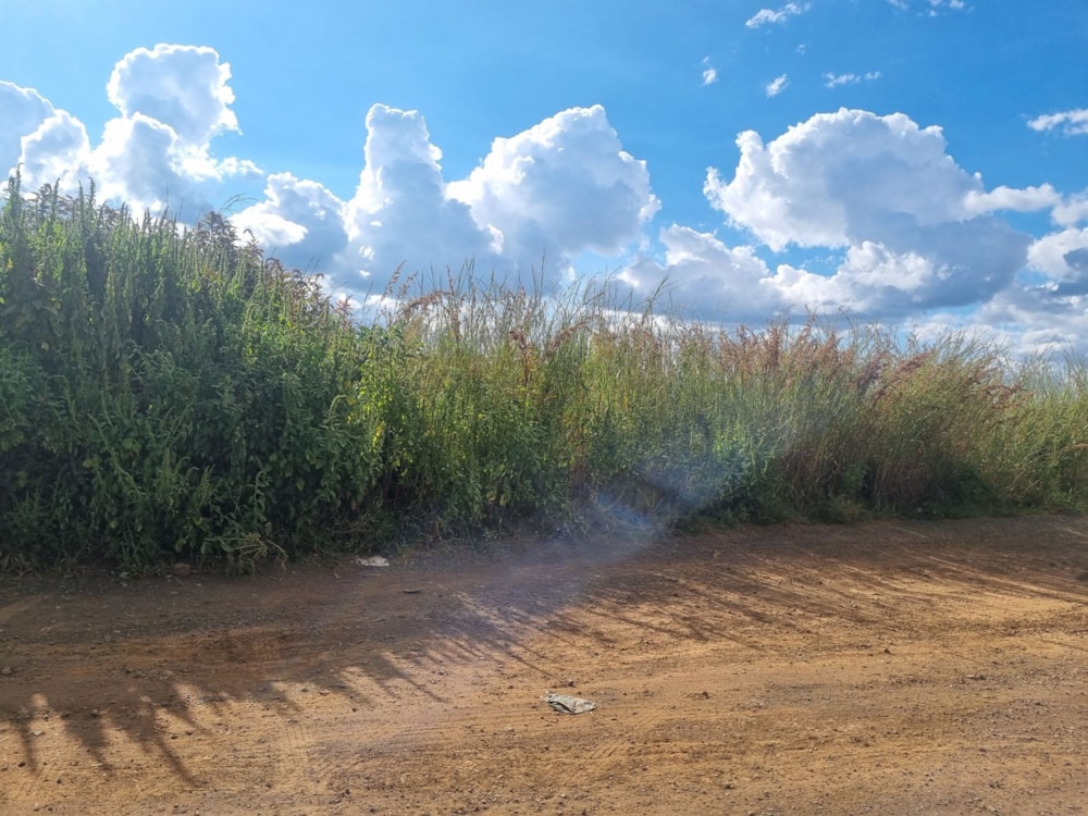 Vacant land for sale in Lydenburg (Mashishing) - 1LY1695146 Vacant land for sale in Lydenburg (Mashishing) - 1LY1695146