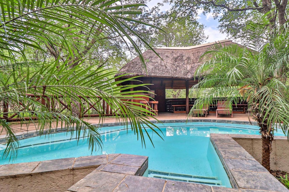 House to rent in Marloth Park - 1NK1693498 House to rent in Marloth Park - 1NK1693498