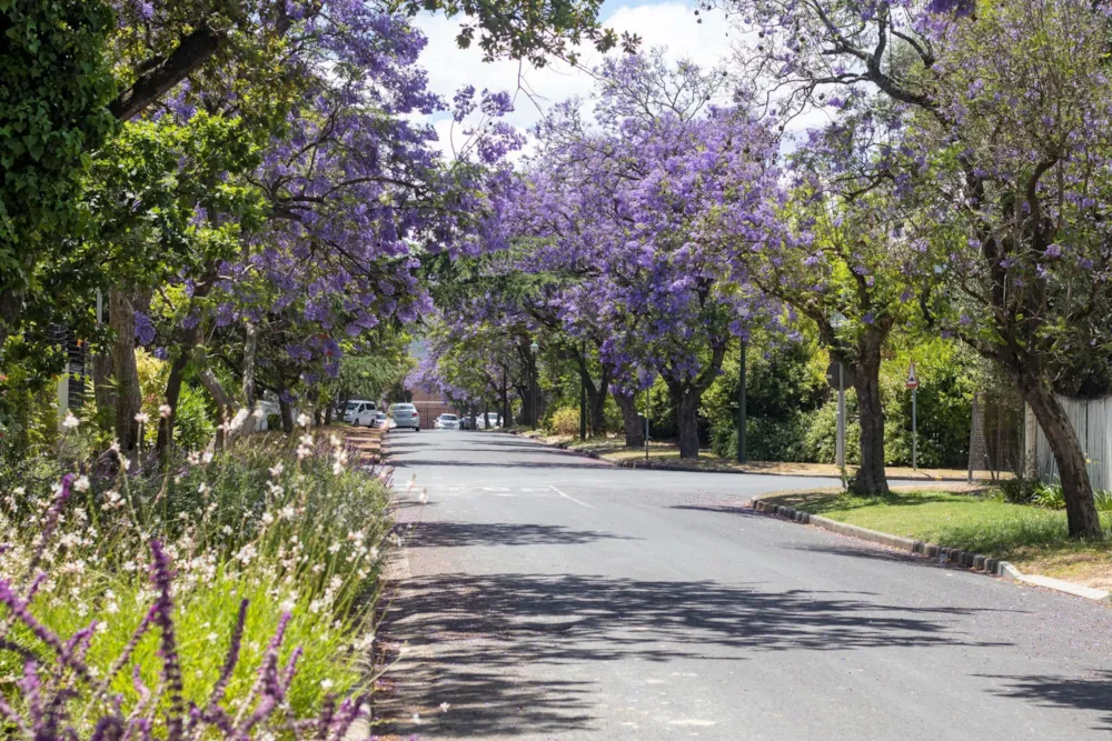 Apartment let in Dennesig, Stellenbosch - STL1721412