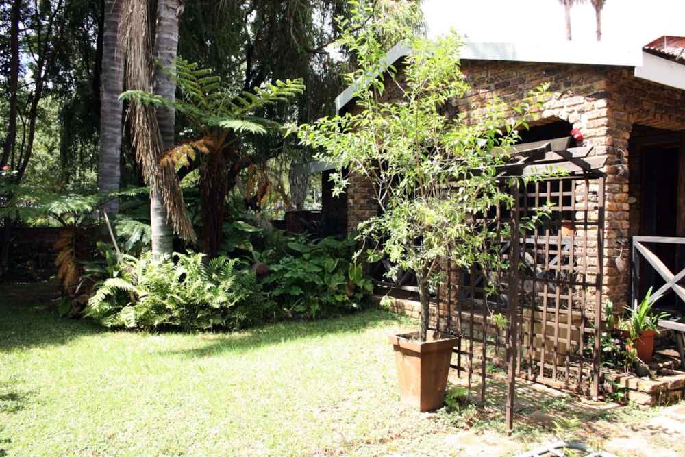 House for sale in Lydenburg (Mashishing) - 1LY1695282