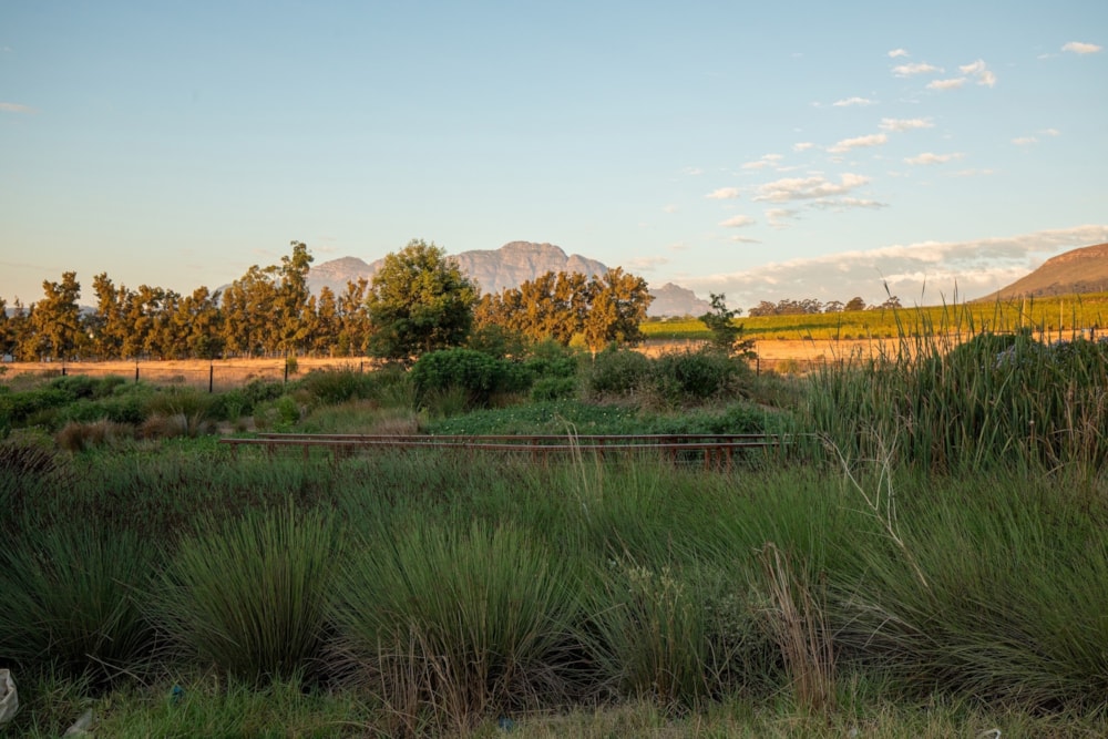 Residential vacant land for sale in Paradyskloof - ST1693421 Residential vacant land for sale in Paradyskloof - ST1693421