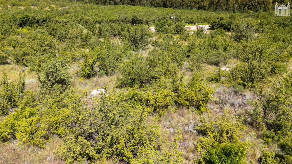 Vacant land for sale in Clarens - 1CS1542577 Vacant land for sale in Clarens - 1CS1542577