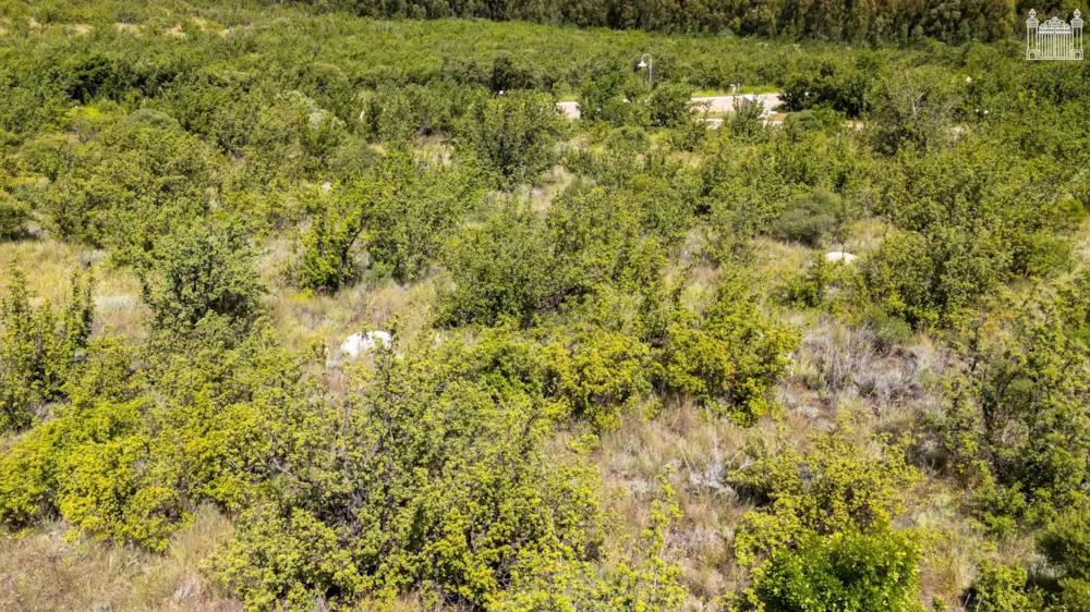 Vacant land sold in Clarens - 1CS1542577 Vacant land sold in Clarens - 1CS1542577