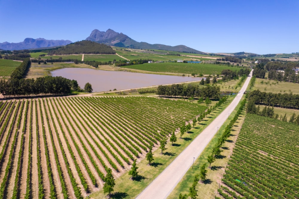 Residential vacant land for sale in Vini Fera at Anura - ST1692800 Residential vacant land for sale in Vini Fera at Anura - ST1692800