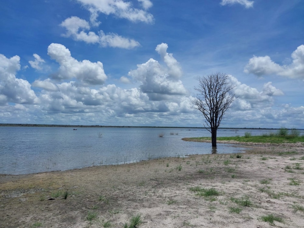 Farm vacant land sold in Inhambane, Mozambique - 3MQ1575802