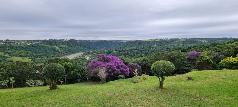 Apartment for sale in Banners Rest - 1PD1594818