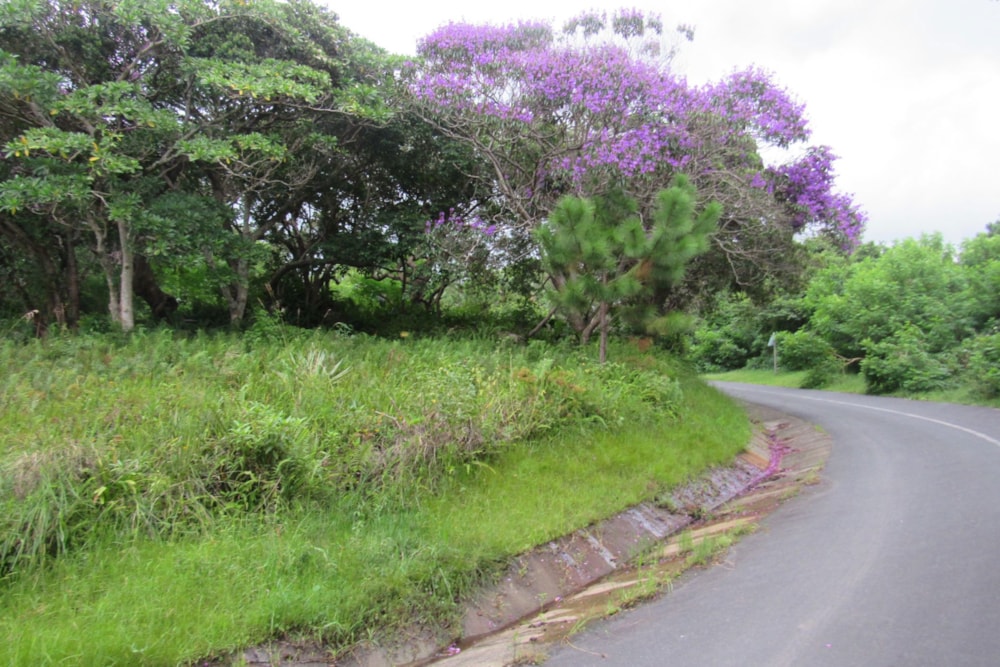 Vacant land for sale in Margate - 1PX1617884