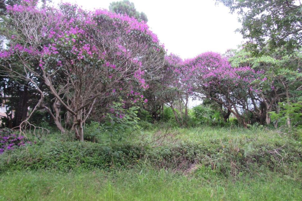 Vacant land for sale in Margate - 1PX1617884