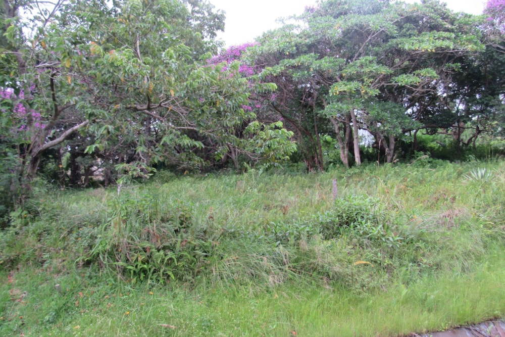 Vacant land for sale in Margate - 1PX1617884