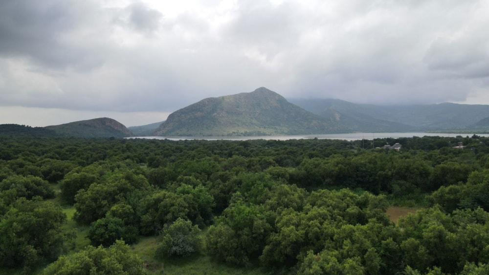 Farm vacant land for sale in Olifantsnek - 1RU1653254