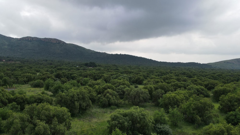 Farm vacant land for sale in Olifantsnek - 1RU1653254