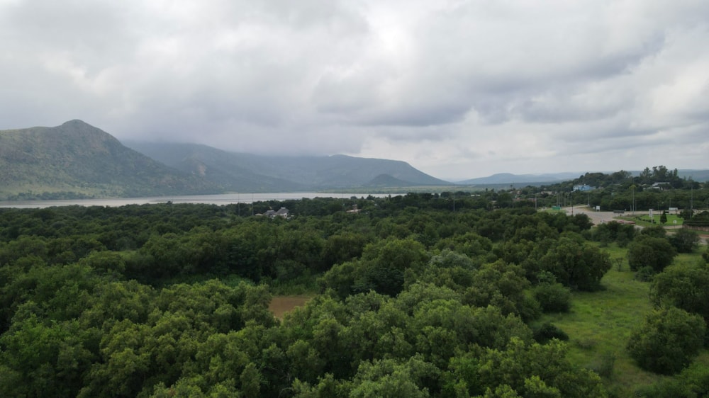 Farm vacant land for sale in Olifantsnek - 1RU1653254