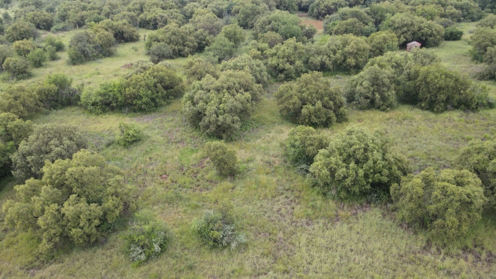 Farm vacant land for sale in Olifantsnek - 1RU1653254