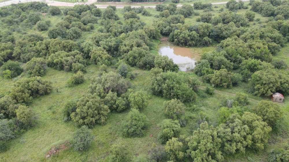 Farm vacant land for sale in Olifantsnek - 1RU1653254